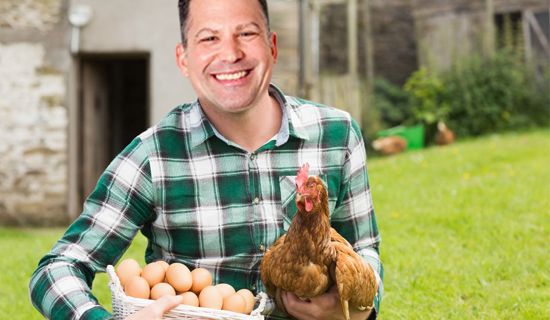 Andrew Chicken Blog