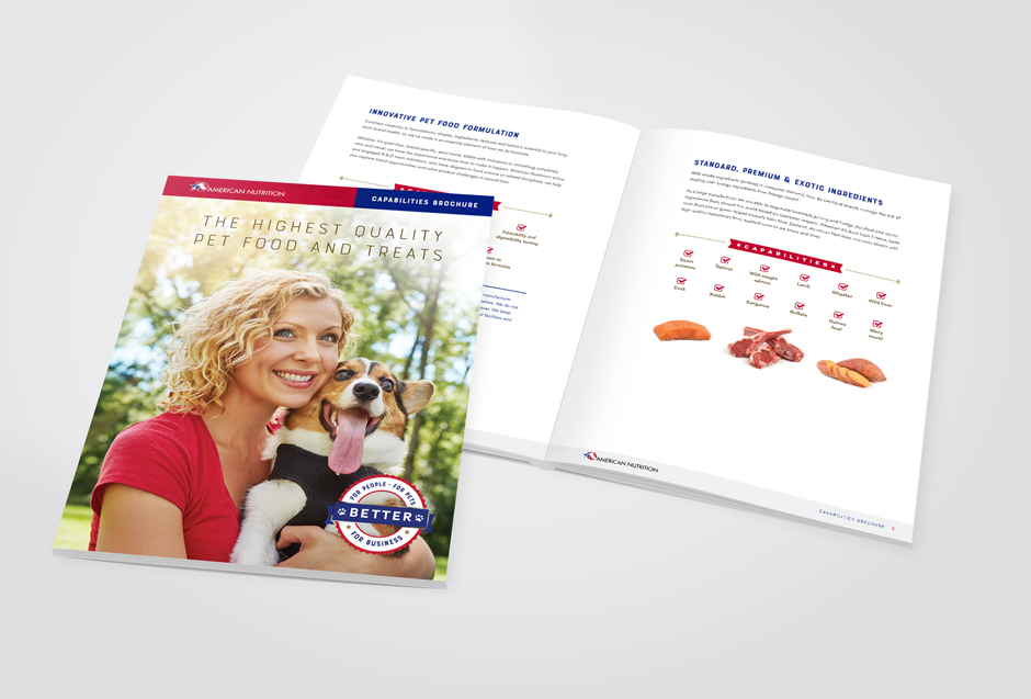 ANICapabilitiesBrochure ANICapabilitiesBrochure