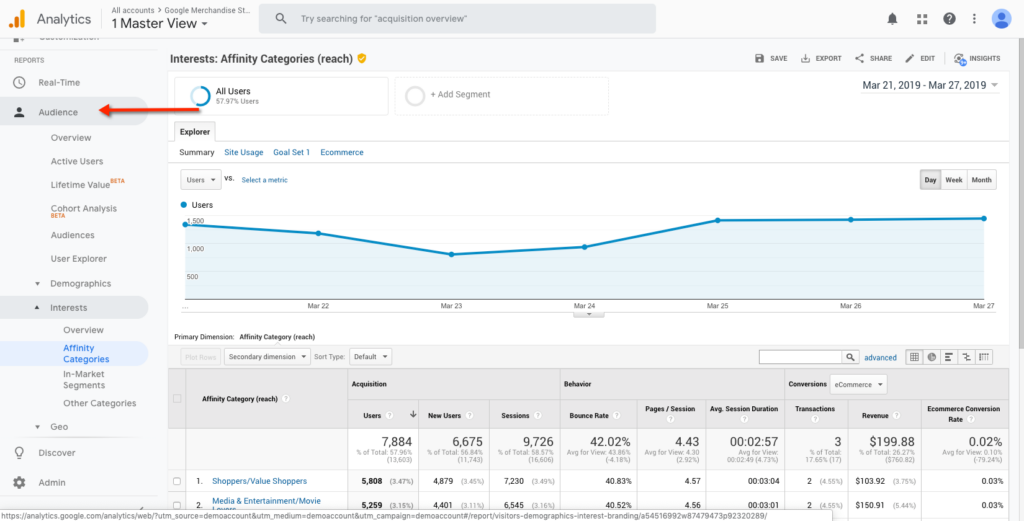 Google Analytics audience report