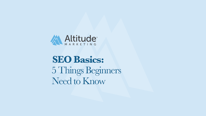 SEO Basics: 5 Things Beginners Need to Know