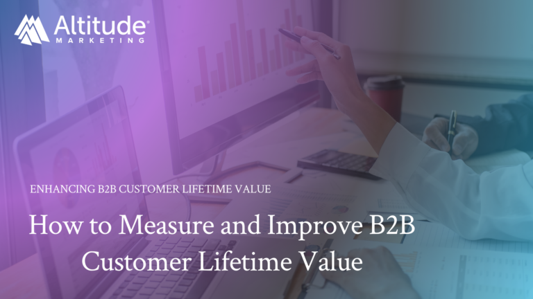 B2B Customer Lifetime Value