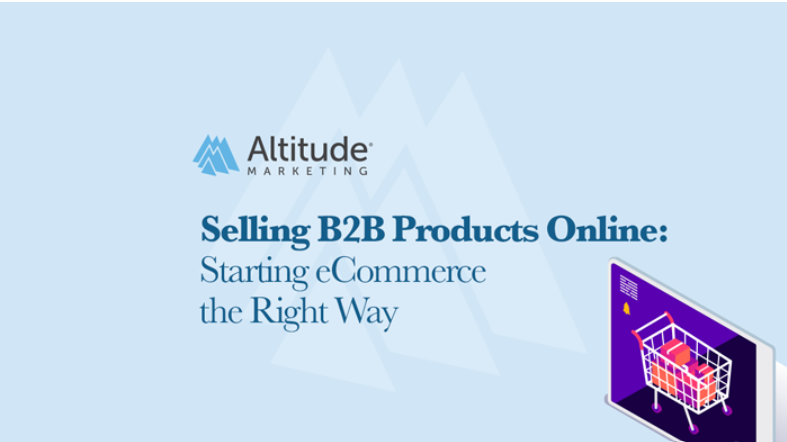 Selling B2B Products Online